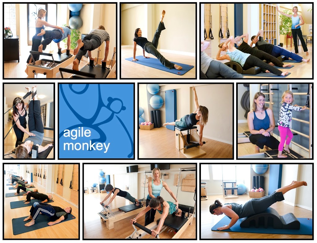 Agile Monkey Movement Lab