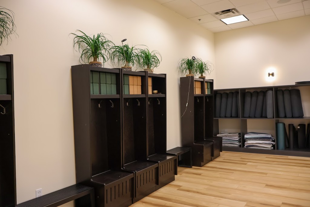  Protea Movement Studio