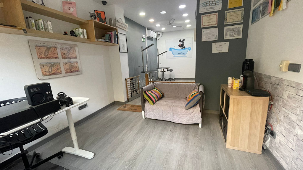 Escuela de Peluqueria Canina Kikecan - Iv San Bernard Official Academy