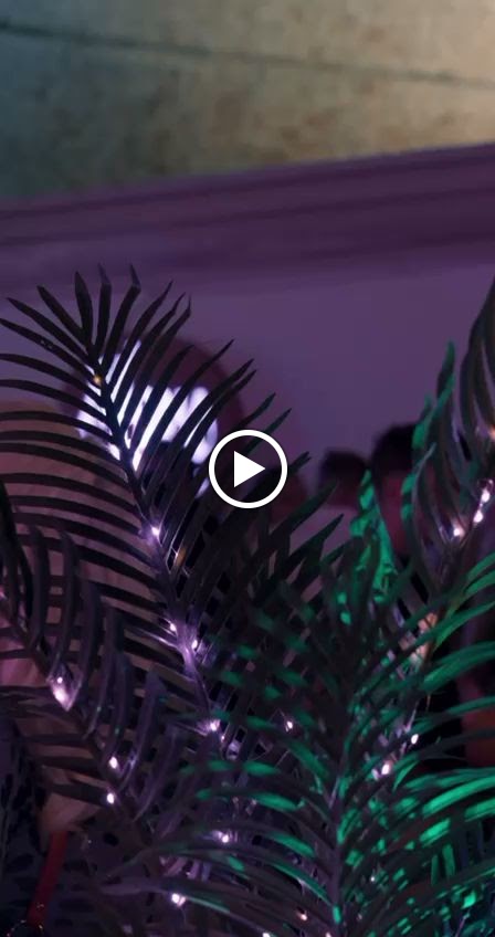 Monalisa Ibiza Bar — Del propietario