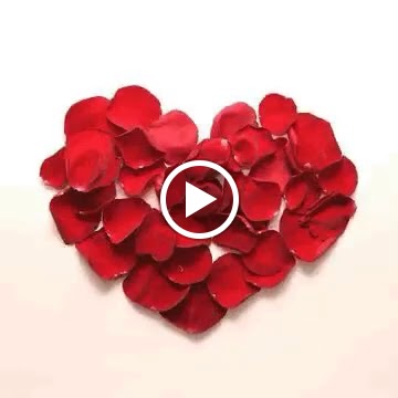 Oh! Paladar — Videos