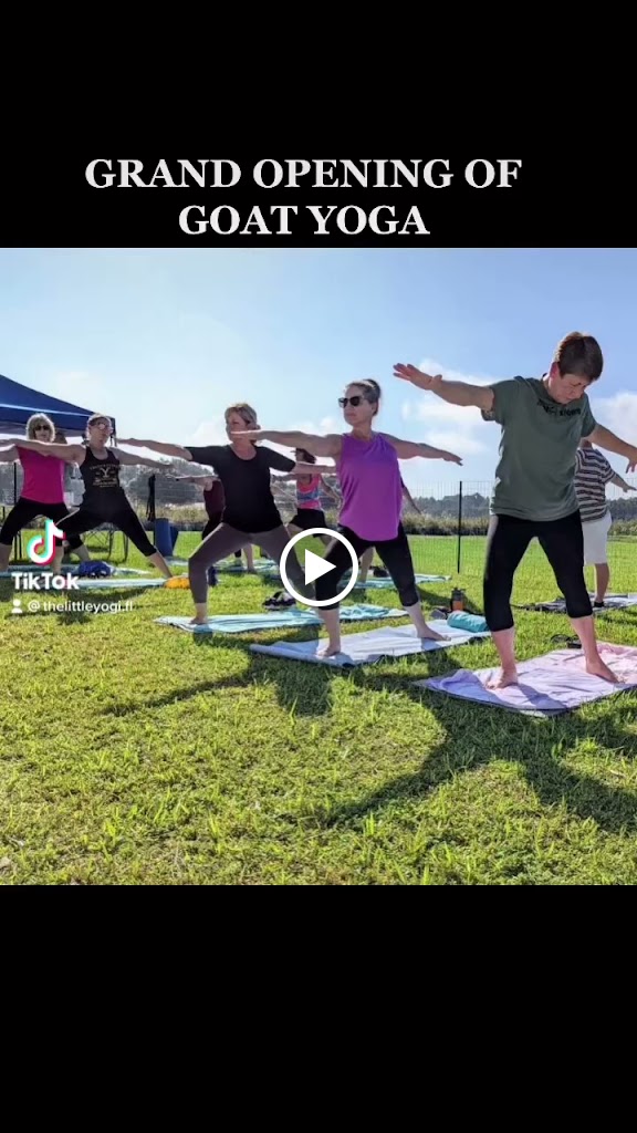  The Little Yogi - Goat Yoga Tampa