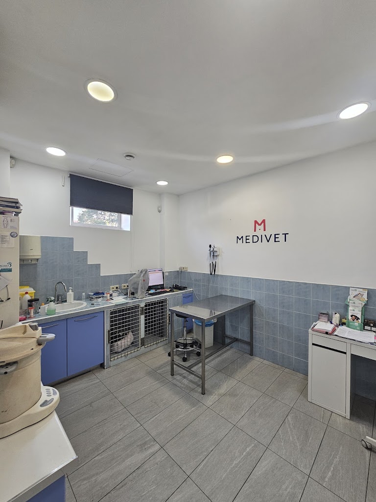 Medivet Layos Alcala de Henares