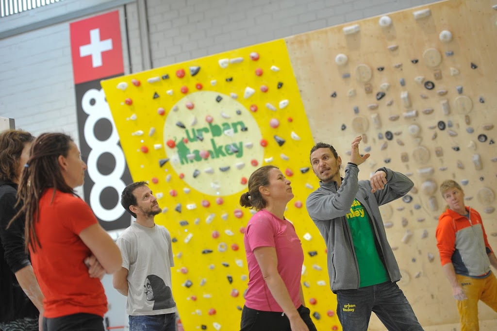 Rocodromo Urban Monkey - Villalba