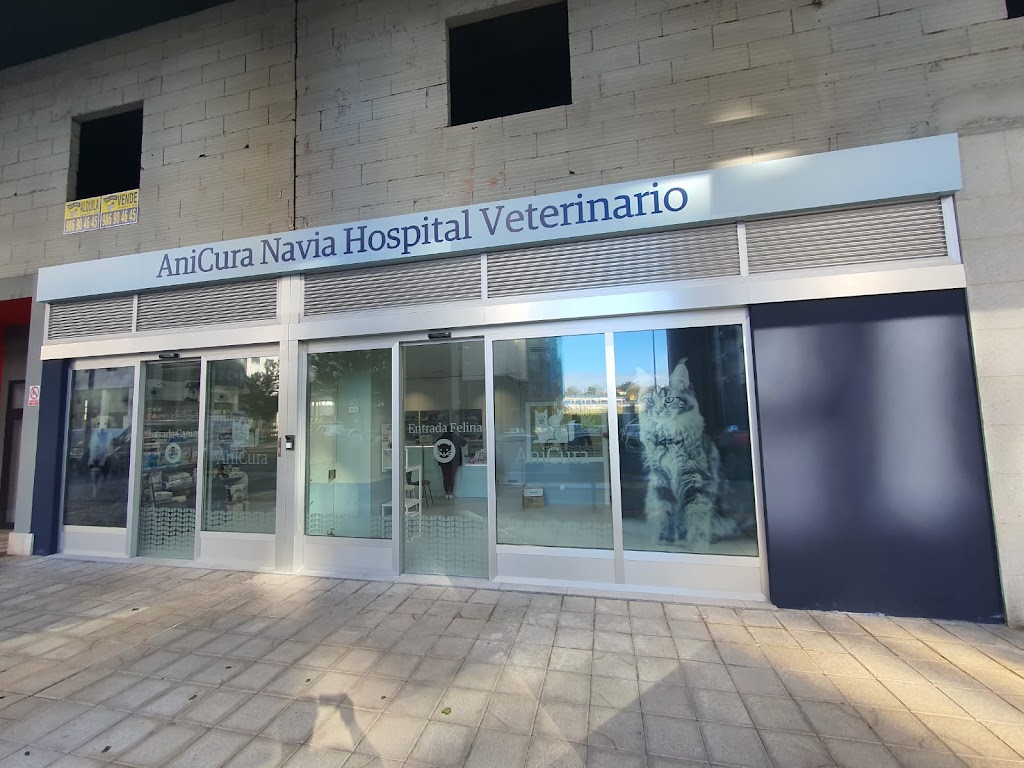 Anicura Navia Hospital Veterinario
