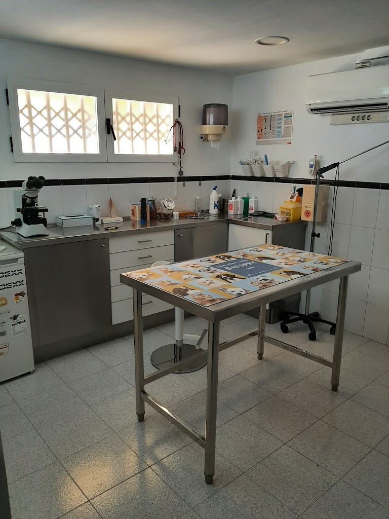 Clinica Veterinaria S'Arenal — Del propietario