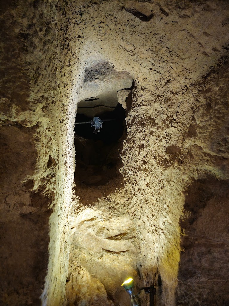 La Bodega de Las Animas