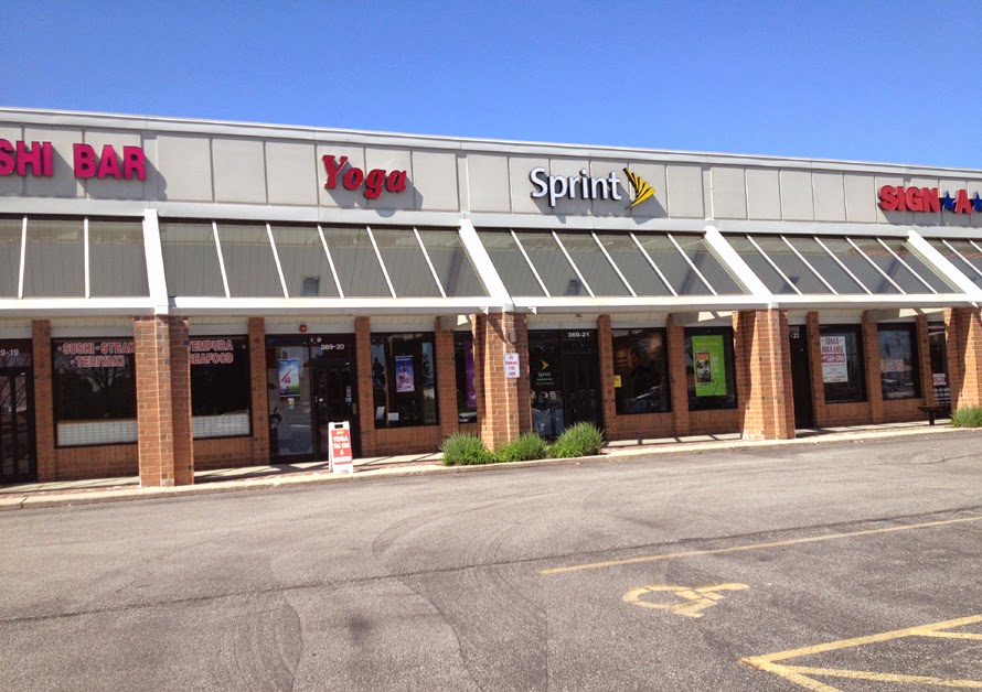  Body & Brain Yoga Tai Chi