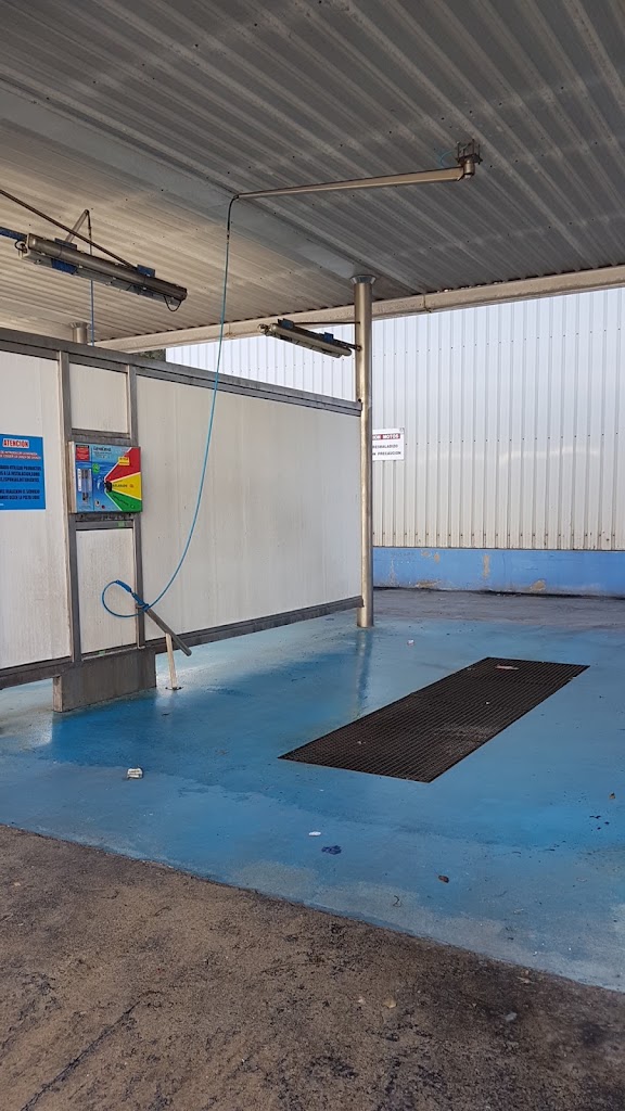 Delfin Badalona — Interior