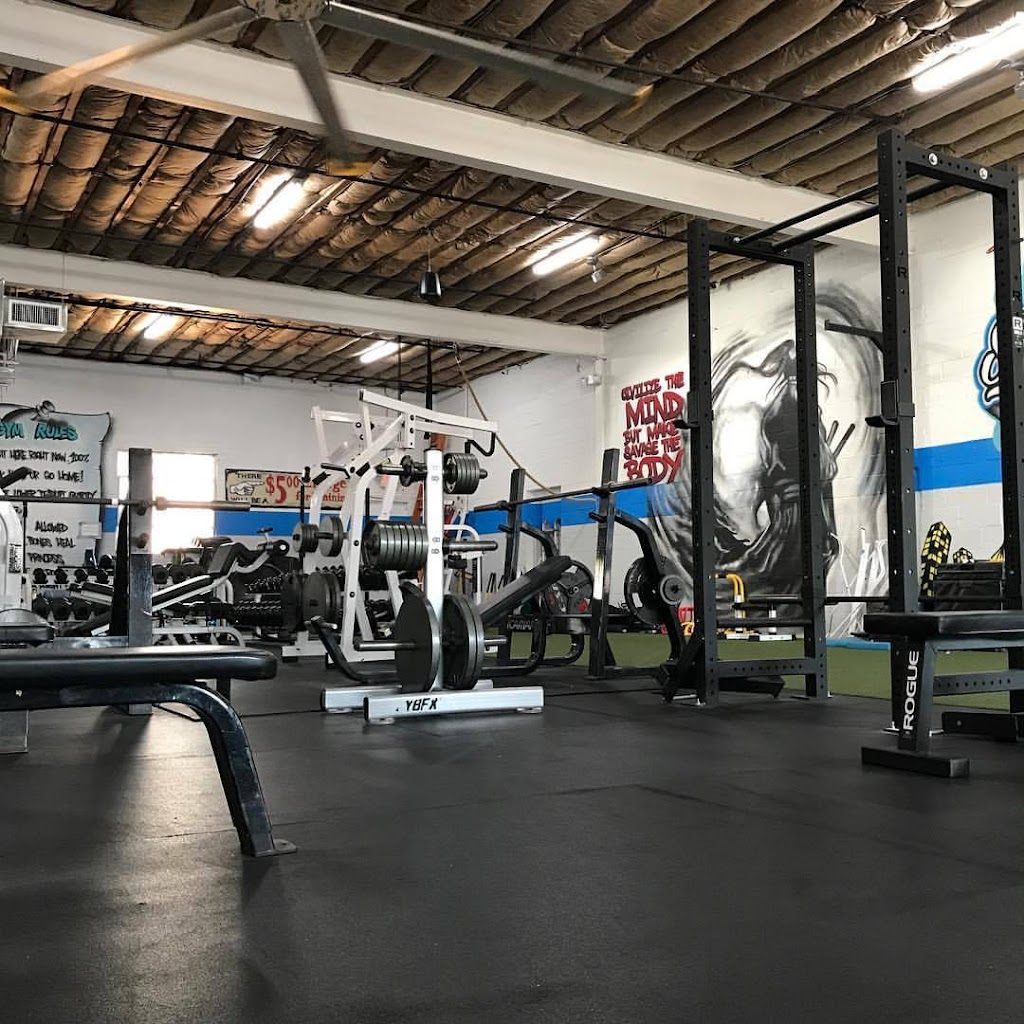  Power Performance Sport Training