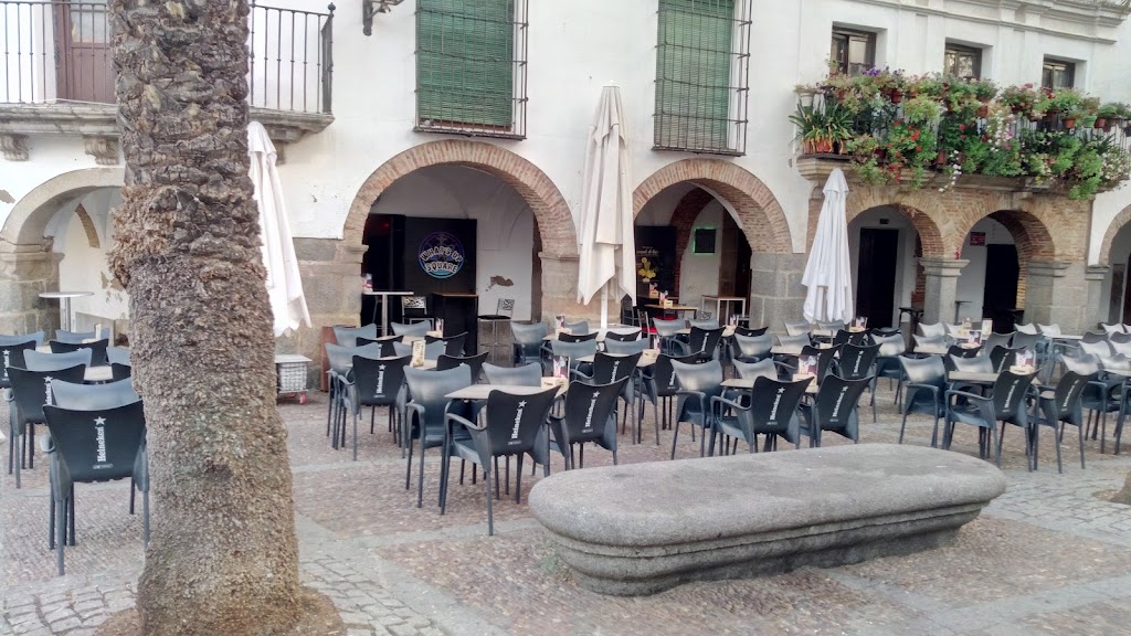 DISCOPUB COCTELERIA TERRAZA EN ZAFRA WHAT'S UP