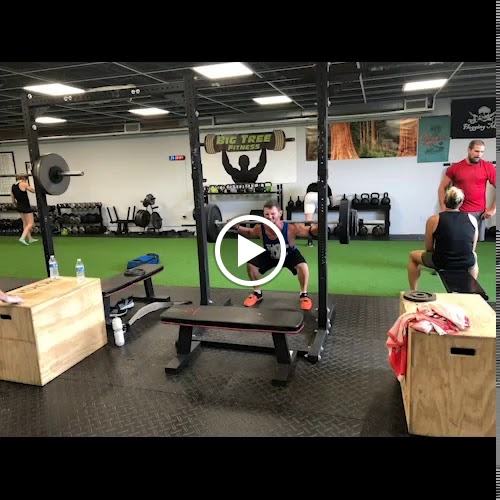  Big Tree Fitness