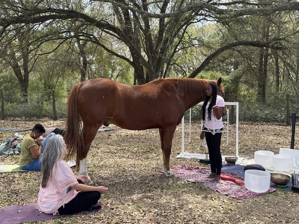  Live Being U Yoga and Sound Energy Healing