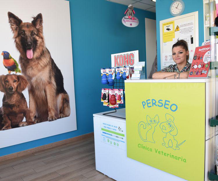 Clinica Veterinaria Perseo Mostoles