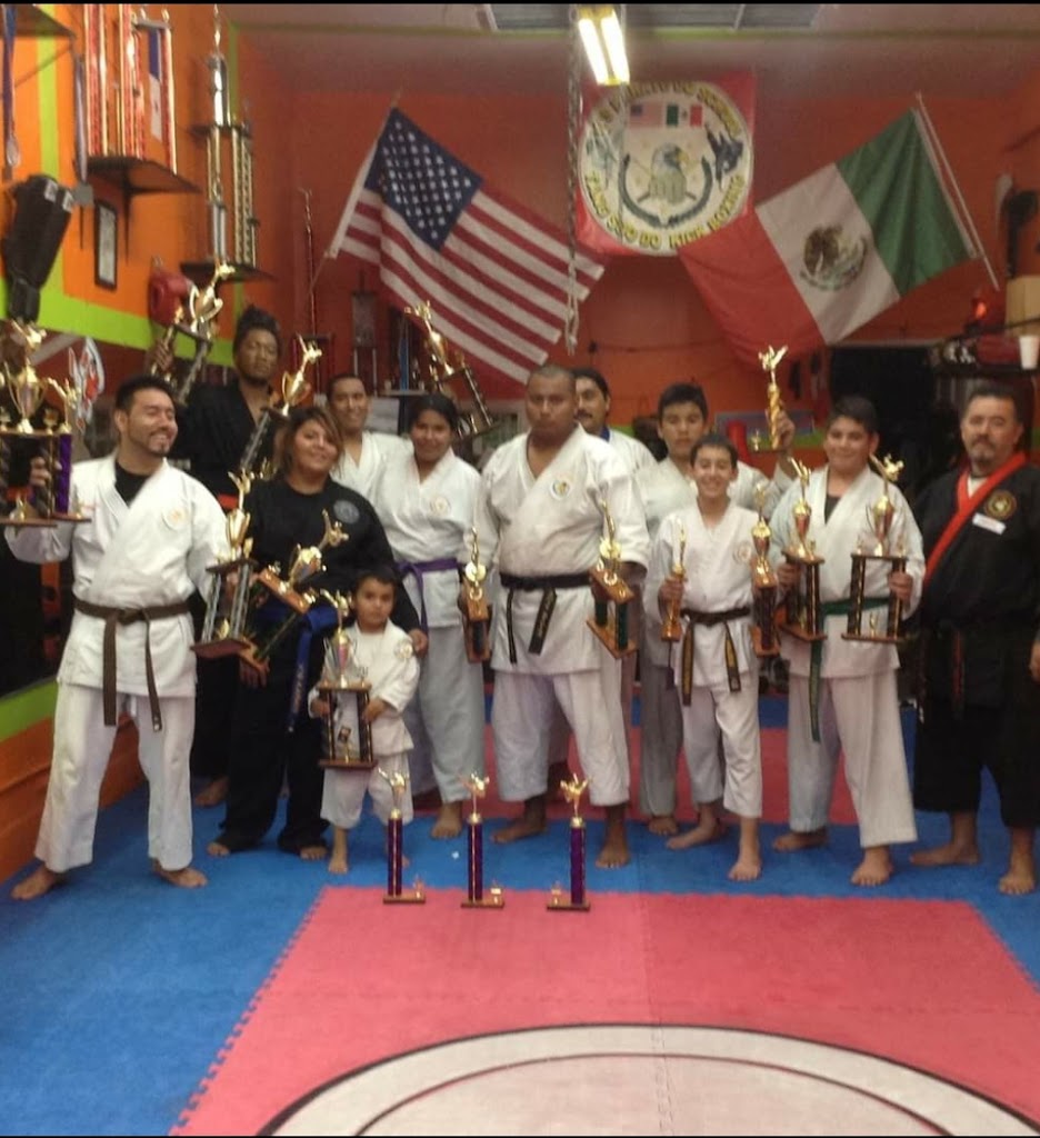  Vi's Karate Do School