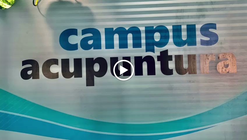 Campus Acupuntura | Centro de Estudios e Investigacion en Acupuntura | Cursos & Master Acupuntura — Del propietario