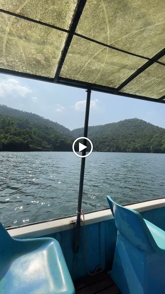 Videos