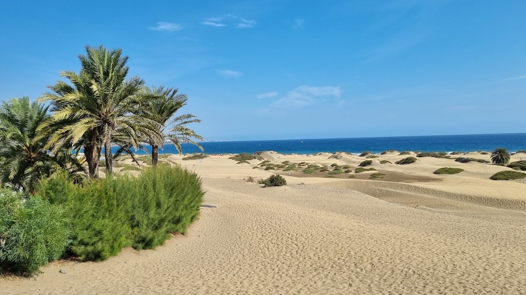 Maspalomas Pond Promenade