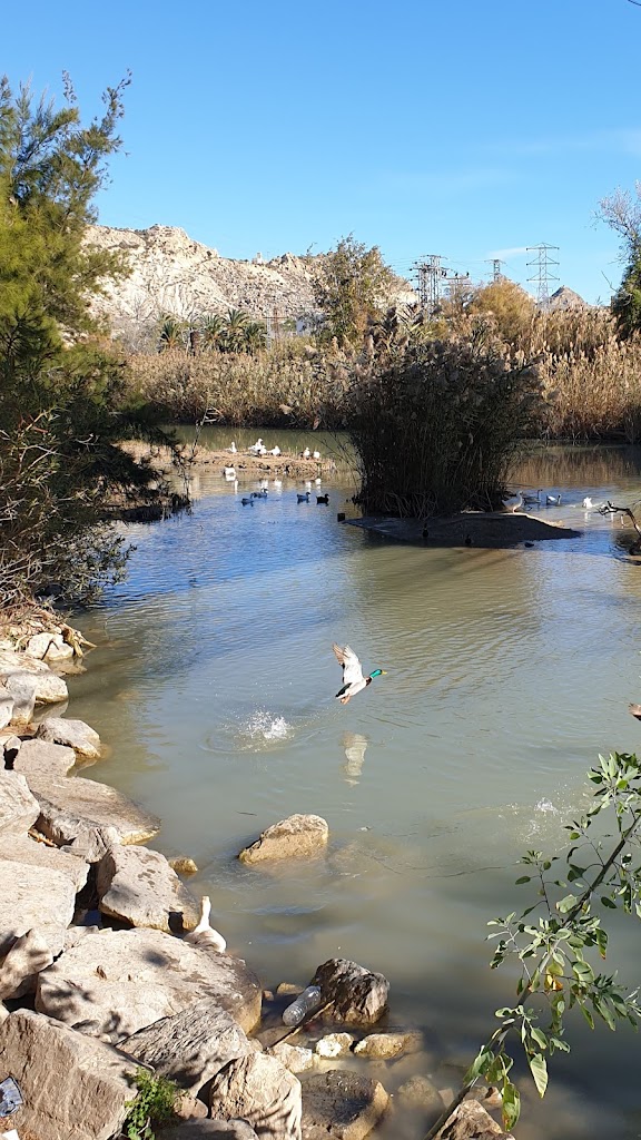 Merendero Archena , Rio Segura