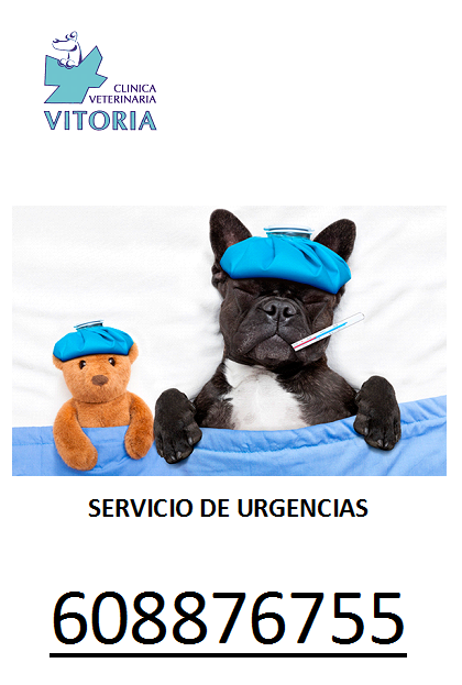 Clinica Veterinaria Vitoria SL -Gasteiz — Del propietario