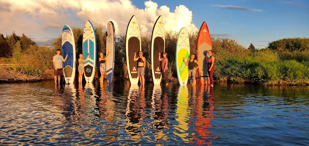  Yoga Wellness Connection