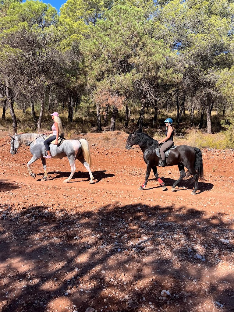 Andalucia Equestrian