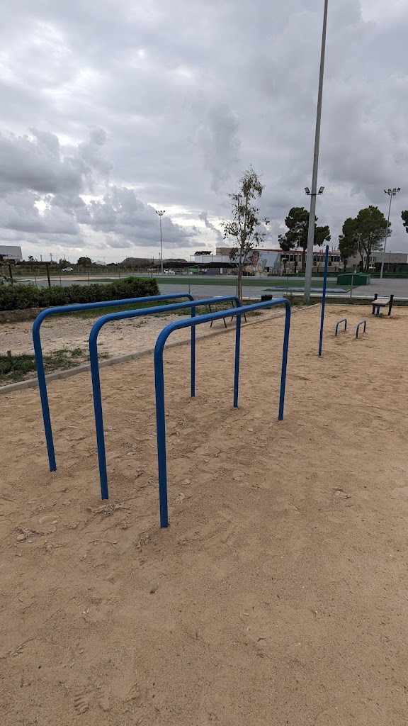 Parc de calistenia