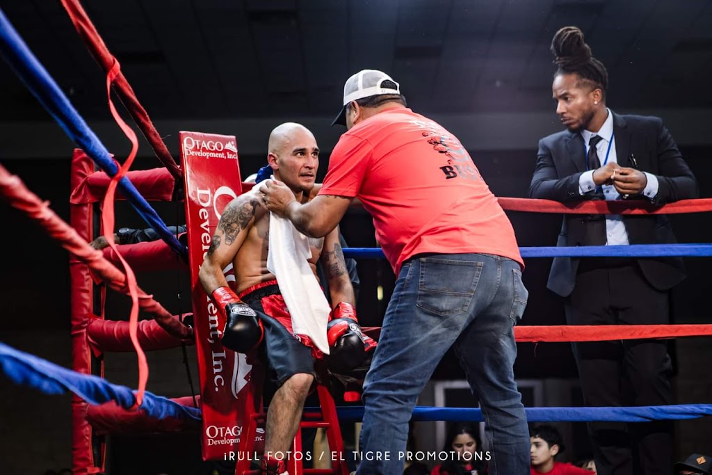  The Knockout Kings Boxing Gym