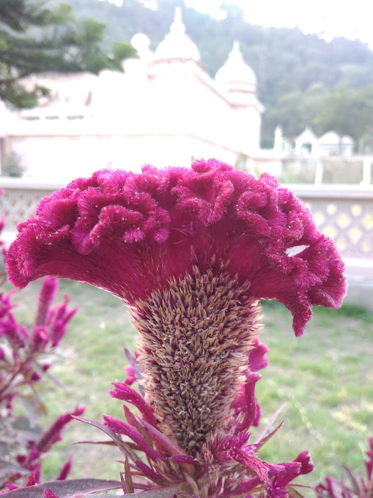 Cute Girl Beauty Women S Salon