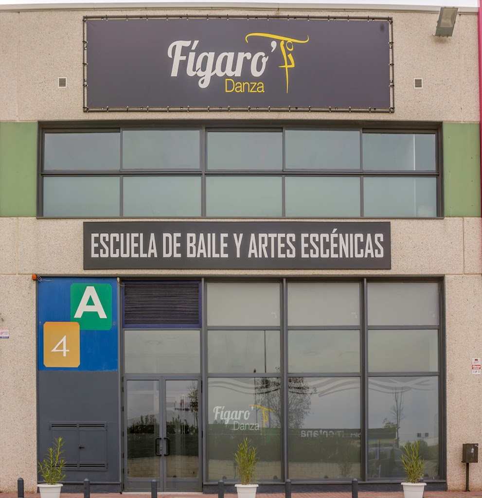 Figaro Danza (Escuela De Baile y Artes Escenicas)