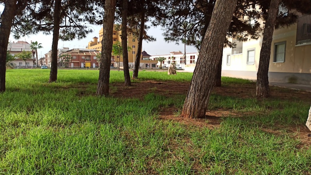 Jardin de las piedras