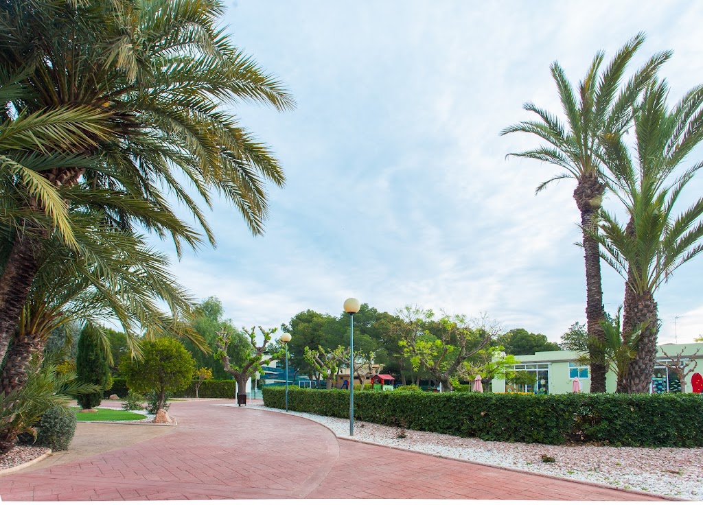 Iale International School