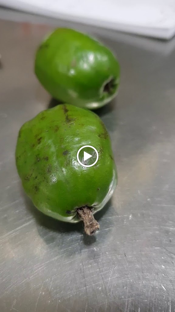 Bar Pere — Videos