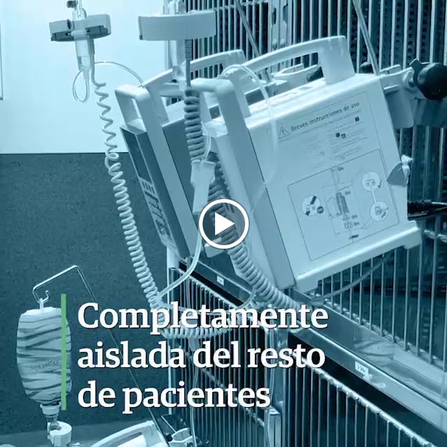 AniCura Aitana Hospital Veterinario — Videos