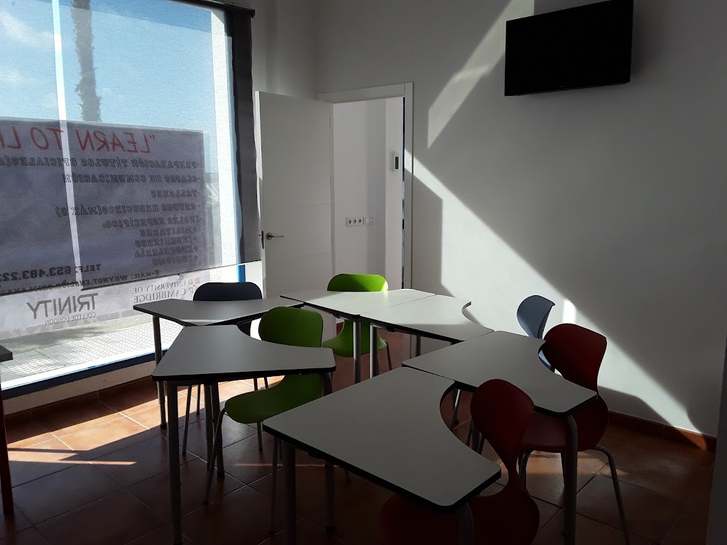 WHY NOT? English Academy