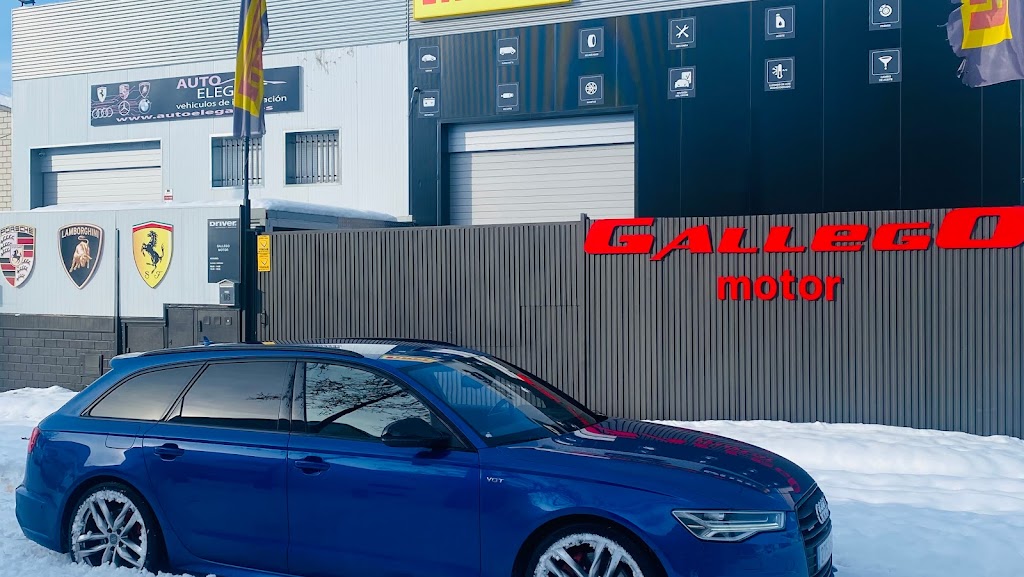 Gallego Motor, Driver Center