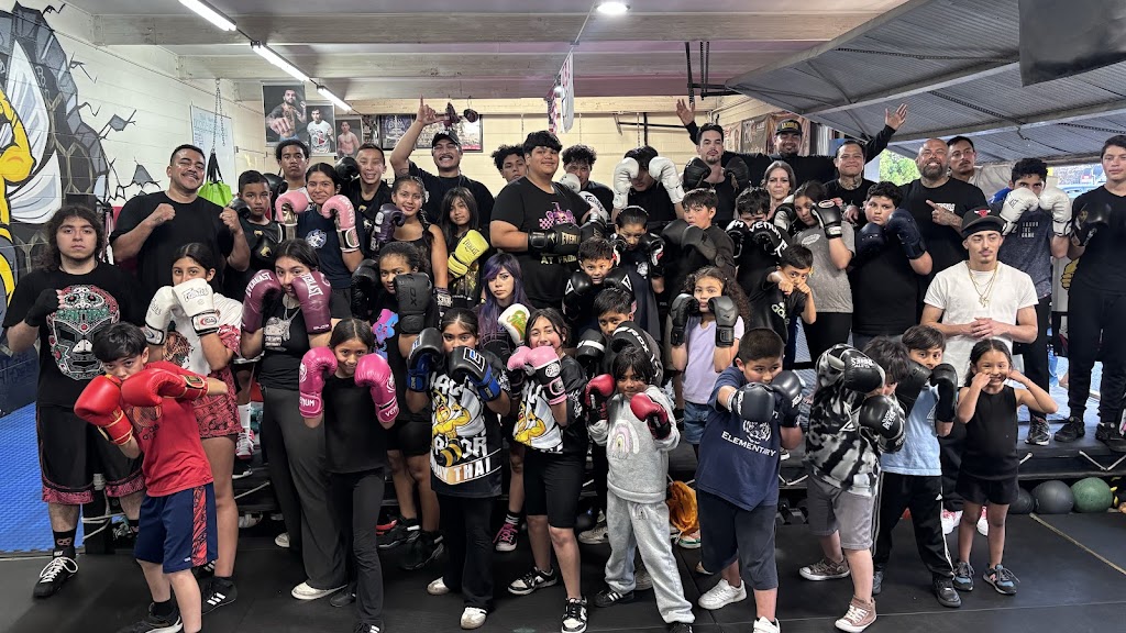  Team Apex Boxing