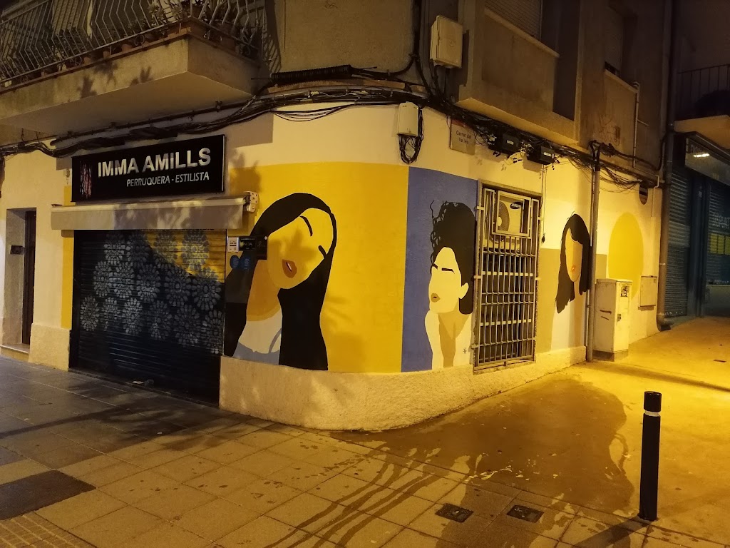 Imma Amills Perruquers Estilistes — Del propietario