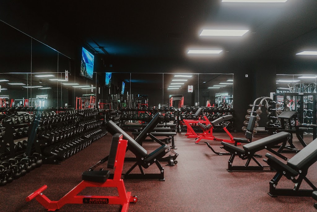  Los Campeones Bismarck