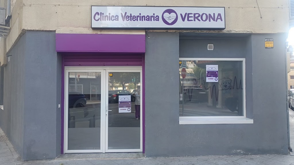 Clinica Veterinaria Verona
