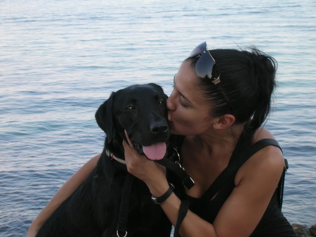 Clinica Veterinaria Manacor