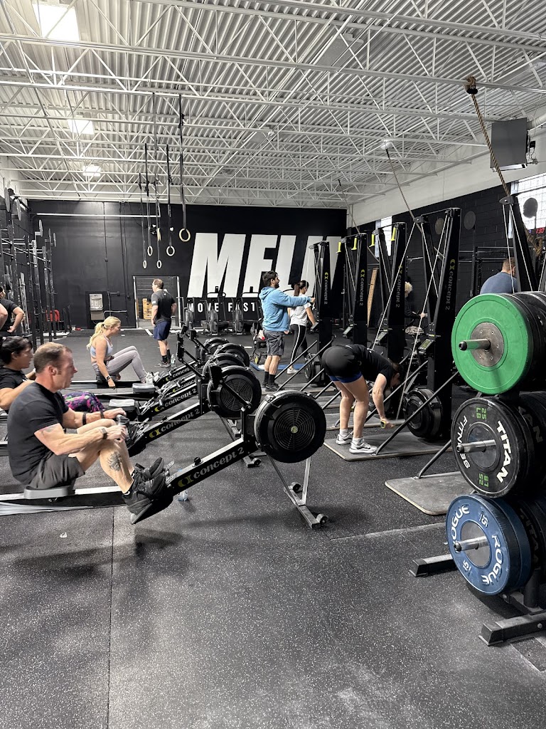  MFLH GYMS