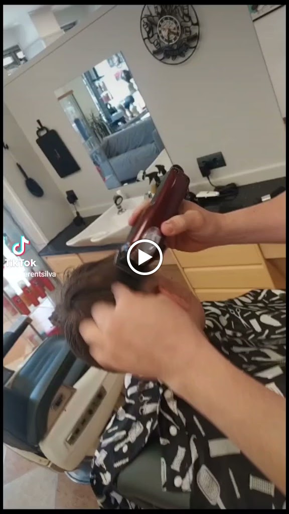 Peluqueria Brasileira — Videos