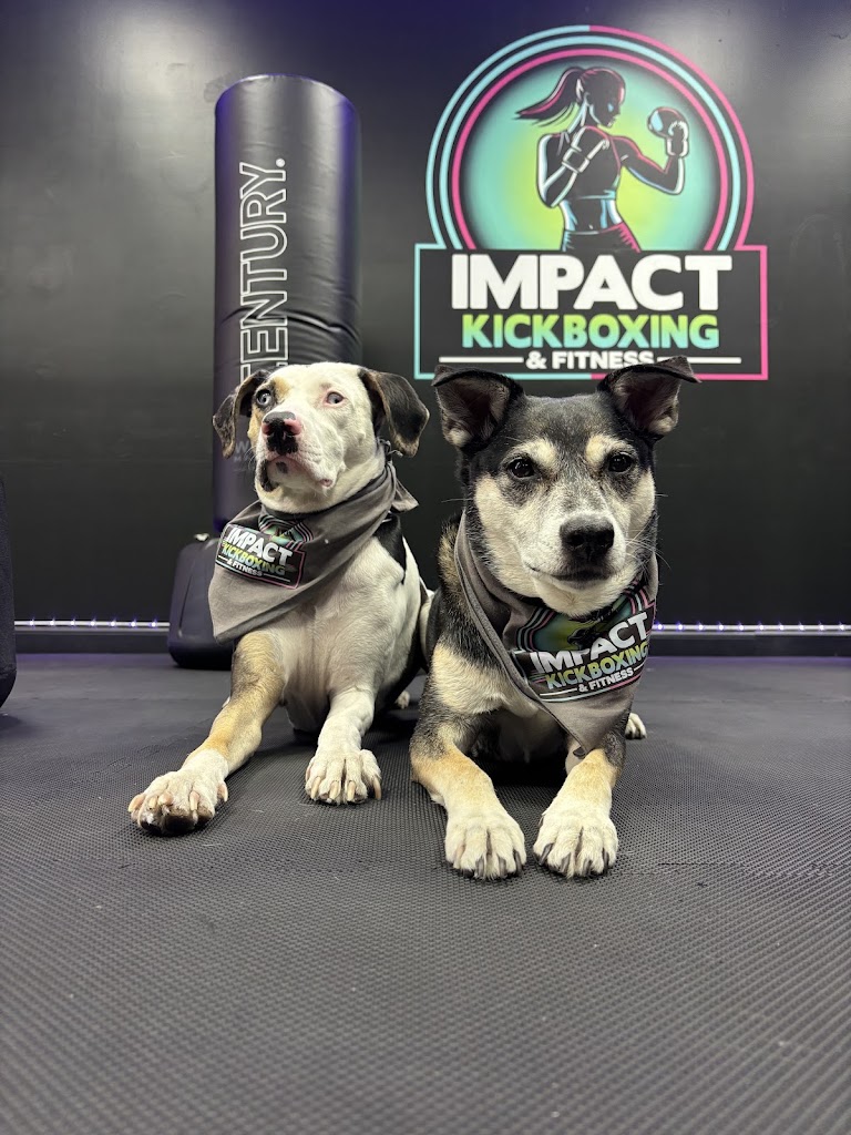 IMPACT Kickboxing & Fitness