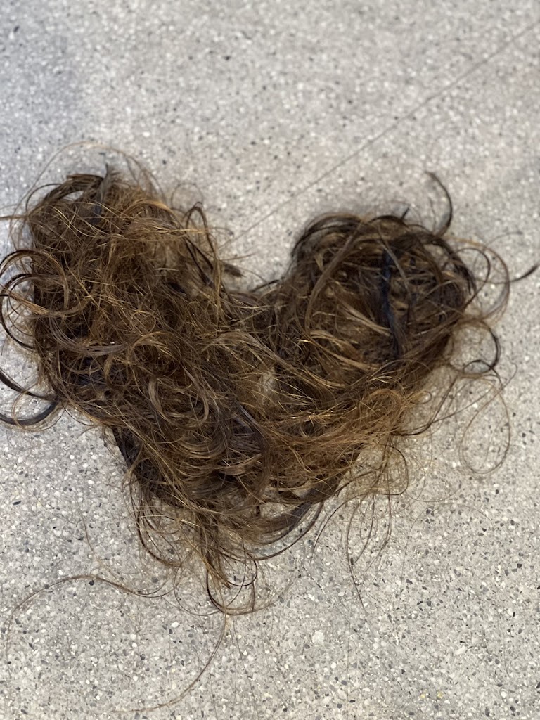 Antonio Calvo Estilistas