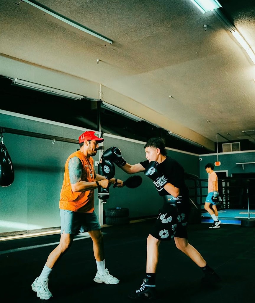  Backyard Battleground Boxing