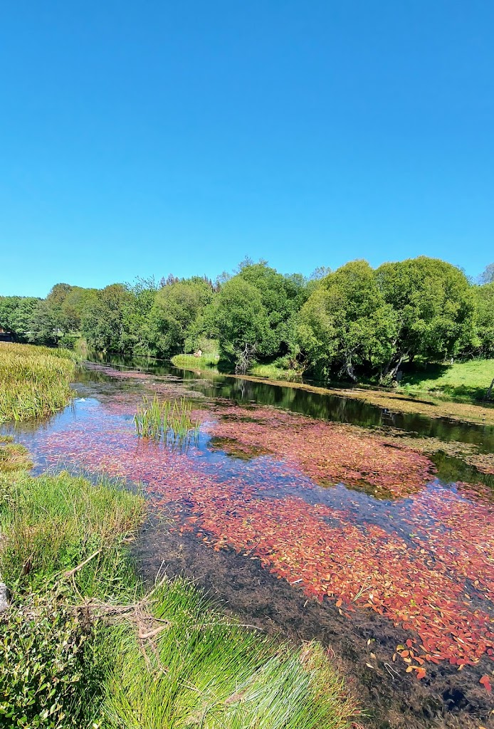 Piscina Municipal de Vilalba