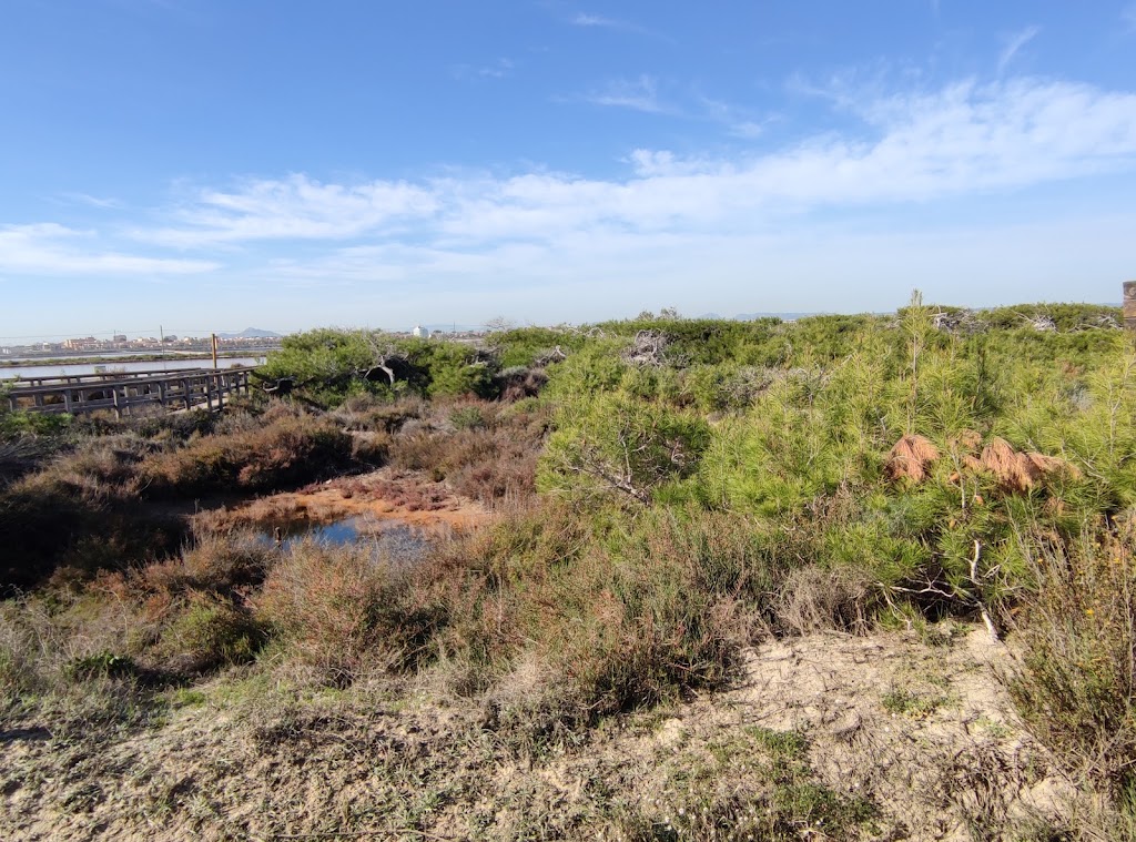 Sendero del Coterillo — Pasarela a la playa