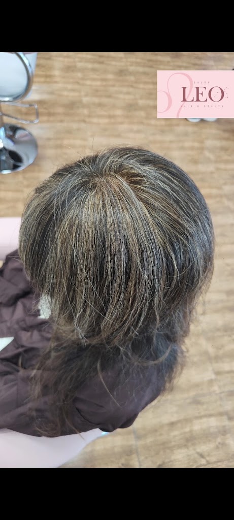 Salon Leo Hair & Beauty — Peinado