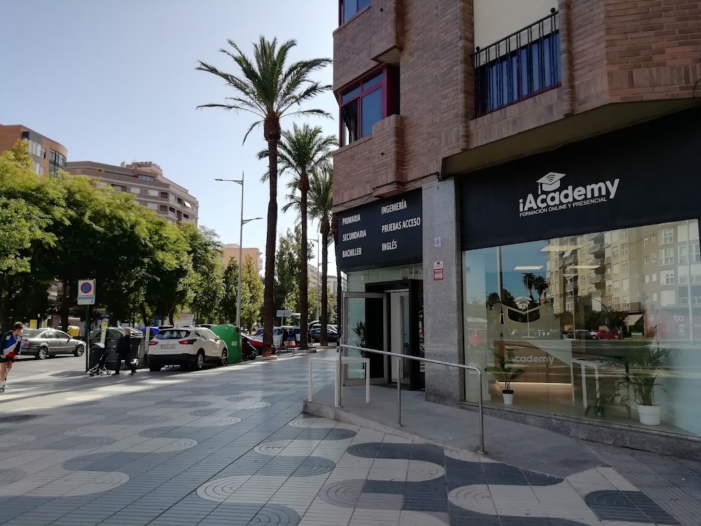 iAcademy — Del propietario